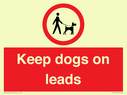 dogs-on-lead-symbol-with-black-text-on-white-background~
